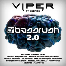 Bassrush 2.0-Continuous DJ Mix 1