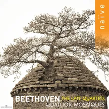 String Quartet No. 13 in B-Flat Major, Op. 130: V. Cavatina. Adagio molto espressivo