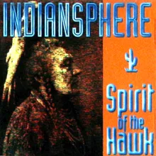Spirit of the Hawk-Radio Edit