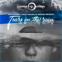 Tears in the Rain-Radio Edit