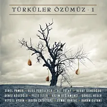 Gurbet Yüzünden