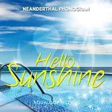 Hello Sunshine DJ Kryst-Off & Bertrand Edit