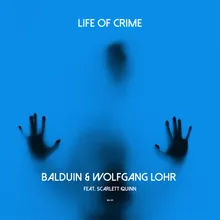 Life of Crime-Instrumental