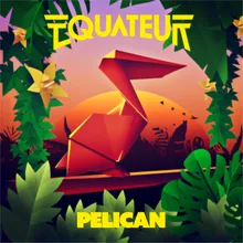 Pelican-Anoraak Remix