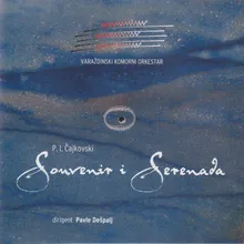 Serenade for String Orchestra, Op. 48: I. Pezzo in forma di sonatina. Andante non troppo - Allegro moderato