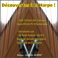 Saisons, Op. 37b: No. 6, Juin. Barcarolle-Arr. for Harp