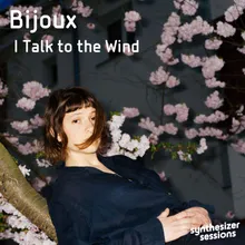 I Talk to the Wind Synthesizer Sessions