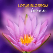 Lotus Blossom-Vibes Mix