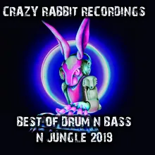 Jazzy Jungle-DJ Purple Rabbit Remix