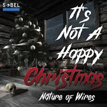 It's Not a Happy Christmas-Radio Edit