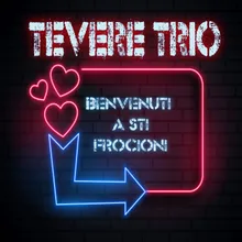 Benvenuti a sti frocioni-Dance radio mix