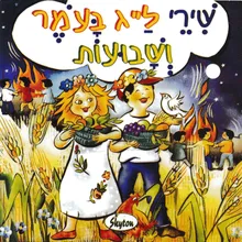 בר כוכבא