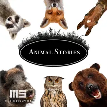 Mysterious Animal Play-Original Mix