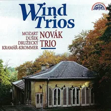 Trio in F Major: II. Romanza