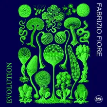 Evolution-Extended Mix