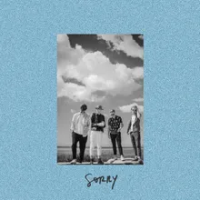 Sorry-Single Edit