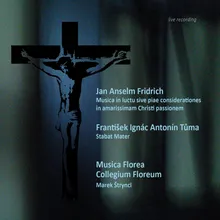 Musica in luctu sive piae considerationes in amarissimam Christi passionem: Recitativo VI-Live Recording