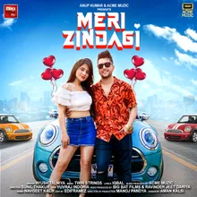 Meri Zindagi