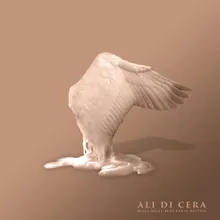 Ali di cera