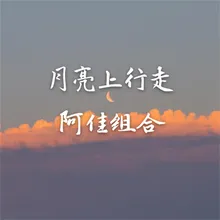 月光上行走