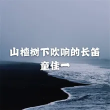 一江水