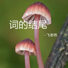 词的结尾