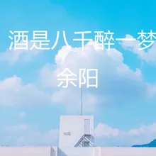 酒是八千醉一梦