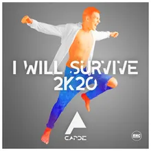 I Will Survive 2K20-Radio Edit