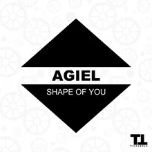 Shape of You-Radio Edit