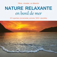 Nature relaxante - plage de galets