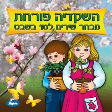 כך הולכים השותלים