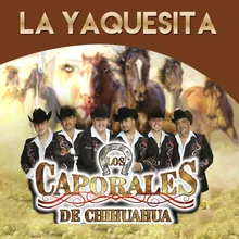 La Yaquesita