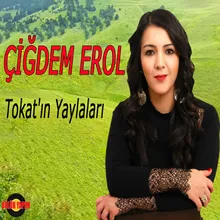 Tokat'ın Yaylaları