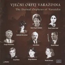 Koncert za klavir i orkestar in F Minor, BWV 1056-Allegro - Largo - Presto