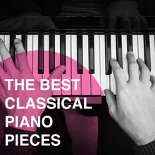 Preludes, Op. 28: Prelude No. 20 in C Minor