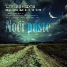 Noći puste