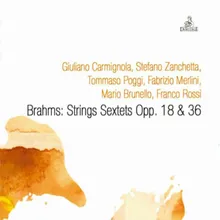 String Sextet No. 1 in B-Flat Major, Op. 18: II. Andante ma moderato