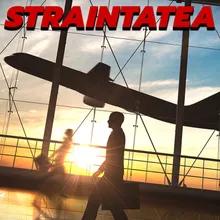 Strainatatea