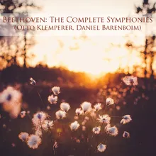 Symphony No. 9 in D Minor, Op. 125 "Choral": I. Allegro non troppo, un poco maestoso