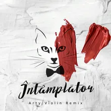Intamplator-Arty Violin Remix