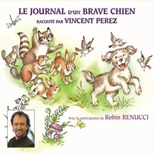 Sauvetage du raton laveur