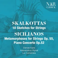 Sketches for Strings: No. 8, Notturno