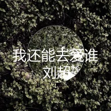 我还能去爱谁