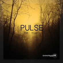 Pulse-Niko Favata Fresh Mix