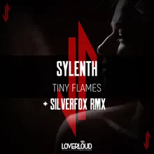 Tiny Flames-Silverfox Remix