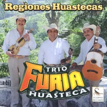 Regiones Huastecas