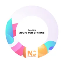 Adagio For Strings-Extended Mix