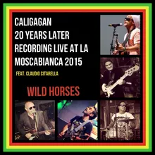 Wild Horses-20 Years Later Recorded Live at La Mosca Bianca 2015