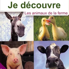 La vache