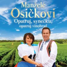 Na lanžhotském poli